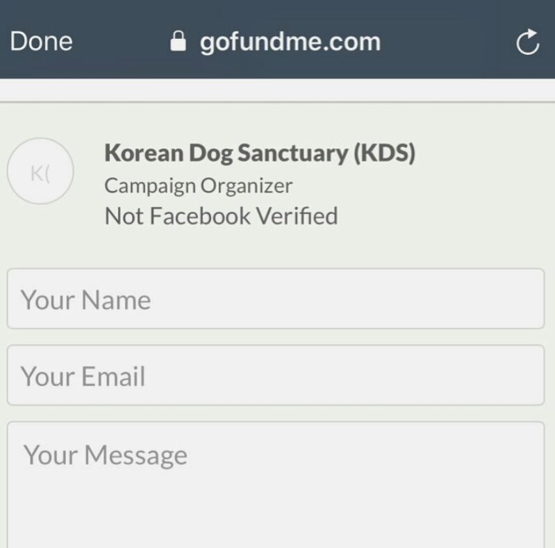 OpYangChingKim's tweet photo. INVESTIGATING NOW ON THIS "SUPPOSEDLY" FAKE FUNDRISING

WHERE ARE THESE DOGS NOW? WHERE WILL THEY BE ADOPTED, AS IN SOUTH KOREA IT'S A RISK TO ADOPT THEM? 
WHY THE FUNDRISING IS LOCATED IN NEW YOK? 
BE CAREFUL PEOPLE &amp; TAKE ALWAYS INFO BEFORE TO DONATE
➡https://t.co/TG2AR100pU https://t.co/VFxaeGOz52