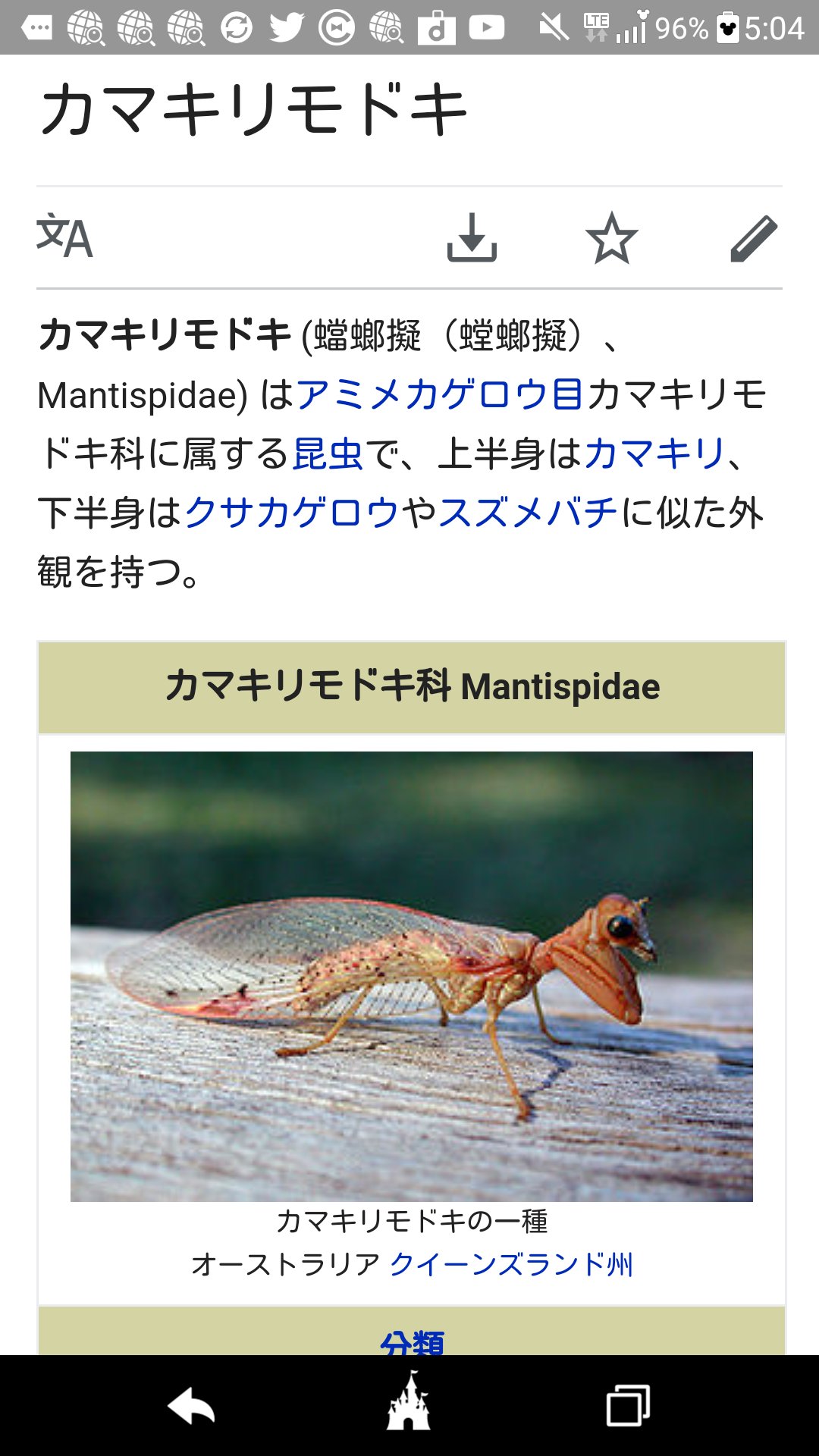にかいどう レゴ機械生物図鑑 カマキリモドキ ハチに擬態したカマキリそっくりでカゲロウみたいな奴 で 結局いずれとも違う 小学生の ぼくのかんがえた最強昆虫 みたいないいとこ取りな奴 見栄っ張りは生存戦略でとても大事 カマキリモドキも