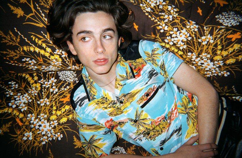 TheTimotheeChal's tweet photo. #TimothéeChalamet https://t.co/cMJfeiEHw6