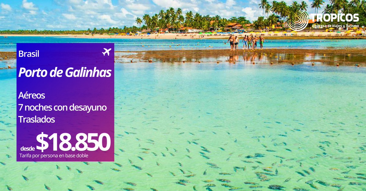 TropicosViajes's tweet photo. #Promo ¡Vacaciones en el paraíso! ¡Eso es #PortoDeGalinhas! 👌🙂 #Brasil
Más información: https://t.co/7TQL5iM1IX https://t.co/EWcbLhmIFo