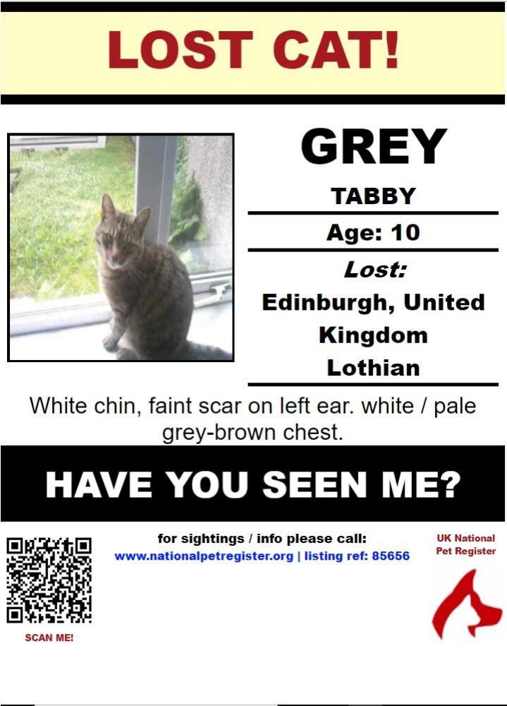 This is Bobo. He lives with my pal Charlie in Granton. If you see him, report it at nationalpetregister.org (Edinburgh RTs appreciated)