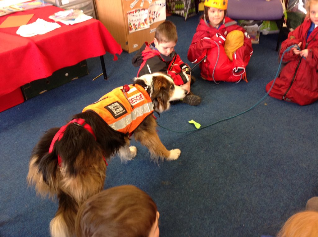 StaveleySchool's tweet photo. Thank you for bringing Kit the dog and your Land Rover. #MountainRescue #LAMRT #superdog https://t.co/HPYYQtdBSp
