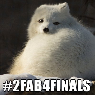 FIDMeLearning's tweet photo. They're heeere! Good luck on #FIDMFinals to all of our #FIDMFamily! https://t.co/ZpUnrbXmou