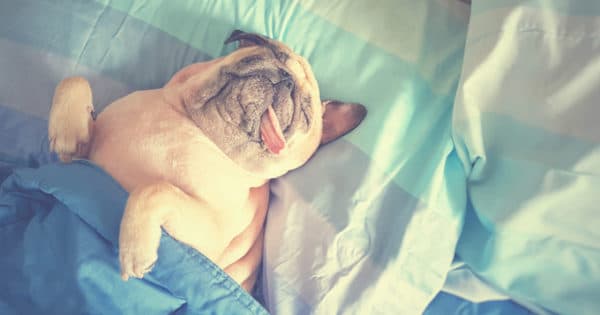 change_benefits's tweet photo. https://t.co/daU8aRrTqv #In_the_Workplace #Top_Story #Work Senior Executives Get More Sleep Than Everyone Else https://t.co/rzkGidHekC #change #leadership https://t.co/42zqjh8JmG