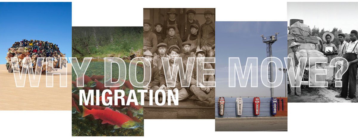CCEService's tweet photo. The Wang Center Symposium (March 8-9) is just around the corner! Register now for a variety of diverse and globally representative lectures and panels regarding topics of migration and mobility. https://t.co/5ZJraSwvu3 #Migration #WangCenter https://t.co/90fDoQjHCo