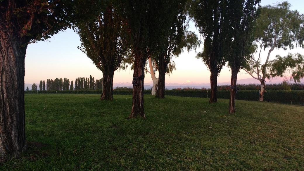 Viñedos!🍇🍇🍇🍷