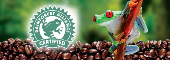 ikhofi's tweet photo. Nobody wants to buy something that was made by exploiting someone else #rainforestalliance #rainforestcertified #coffee #coffeebeans #WeCare #responsiblecoffee #fairandethical #FollowTheFrog https://t.co/XMCpZUNbcl