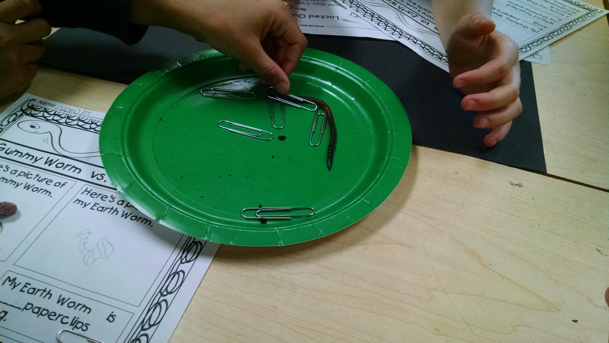 smithloves1st's tweet photo. Science comes alive in first grade as we compare Earth vs. gummy worms. #cesbragchat https://t.co/o04PxcVRWC