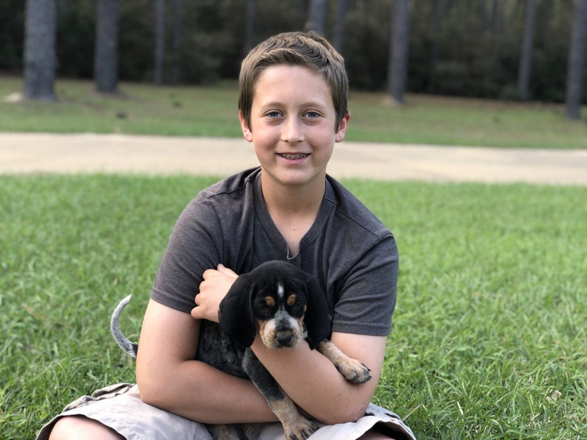 caseykmusic's tweet photo. Because they needed 2 more dogs! Micah named his little boy “Ace.” Levi is having trouble coming up with a girl name for his ...suggestions to help him out?! #bluetickpuppies #puppies #bluetick #coondogs #raisingboys #countryboys https://t.co/SjCeURI3D9