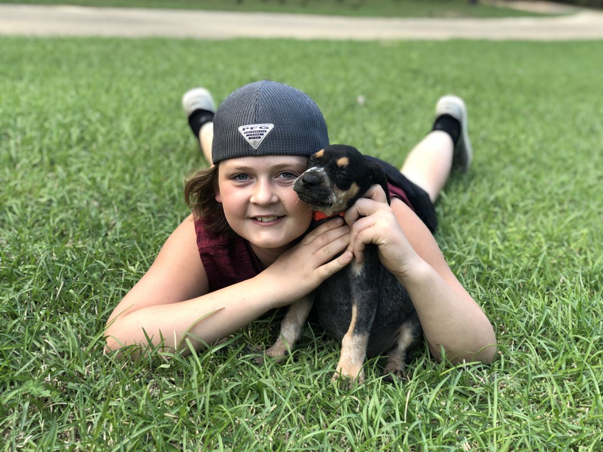 caseykmusic's tweet photo. Because they needed 2 more dogs! Micah named his little boy “Ace.” Levi is having trouble coming up with a girl name for his ...suggestions to help him out?! #bluetickpuppies #puppies #bluetick #coondogs #raisingboys #countryboys https://t.co/SjCeURI3D9