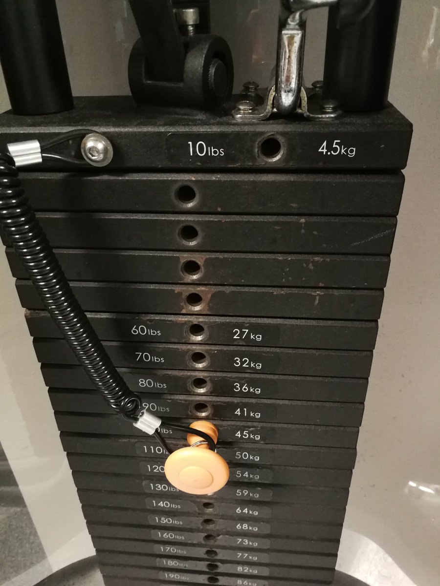PShaunAdventure's tweet photo. So trained back tonight, this is my best yet. #TrainingBack #GymLife #Training #weights #ProjectGettingStronger #AfterWorkTraining #EveningTraining #Disaplined https://t.co/oodIHIFdLC