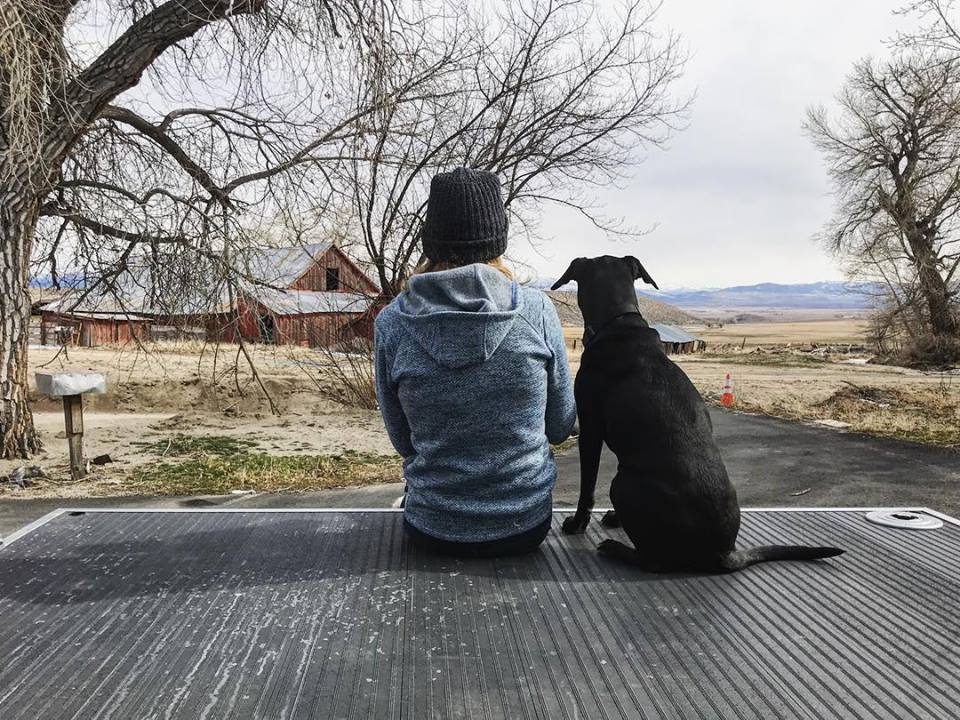 Living Vehicle tweet media