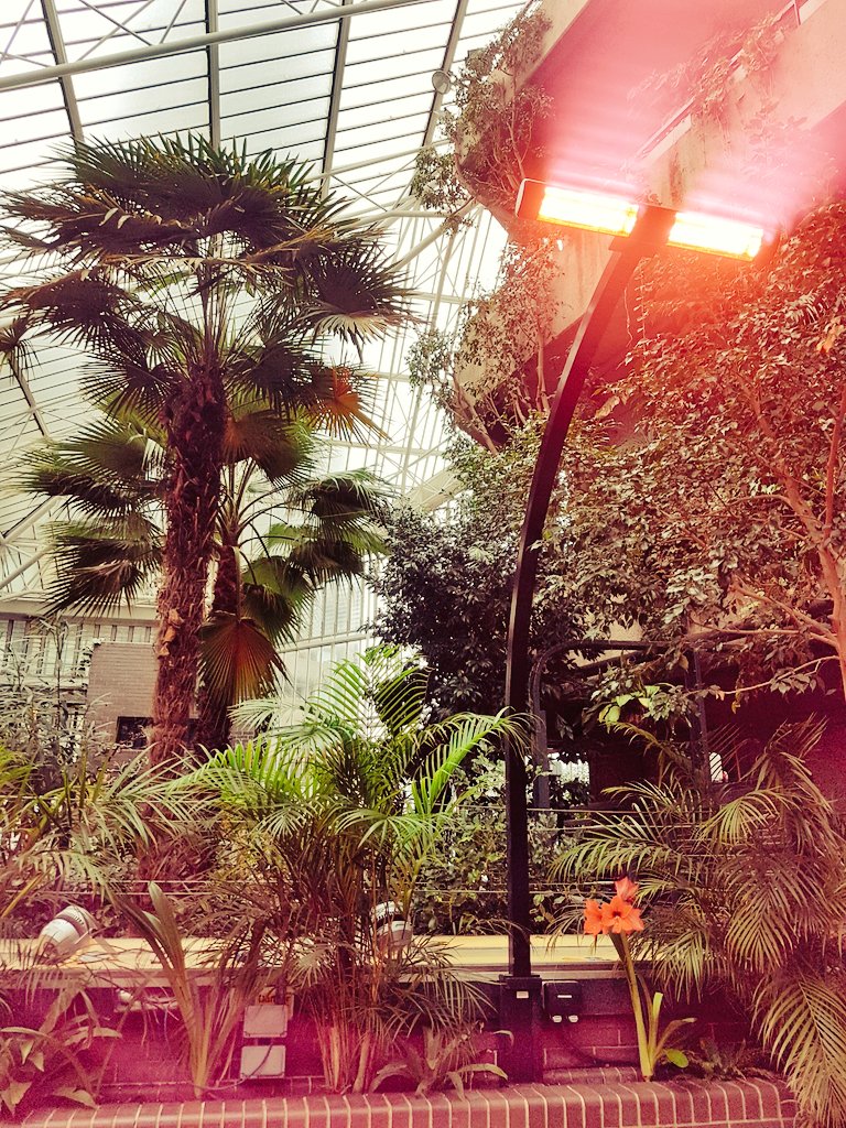 Claire Stone (@clastone) on Twitter photo 2018-03-06 21:06:32 #Arts #Funding like an 'equatorial jungle - the biggest organisations reaching to the top to get the most light and the smaller ones dying in the shade beneath' 💥 what a comment! Favourite analogy of #CSNConf18 thank you to @IoFCulture & @yafnetwork bursary for an edifying day! #Arts #Funding like an 'equatorial jungle - the biggest organisations reaching to the top to get the most light and the smaller ones dying in the shade beneath' 💥 what a comment! Favourite analogy of #CSNConf18 thank you to @IoFCulture & @yafnetwork bursary for an edifying day!