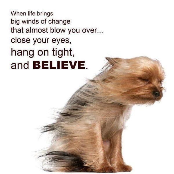 FaustPets's tweet photo. Stay tuned our changes are bringing amazing things!!! #ChangeisGood https://t.co/kTLeFU9XJx
