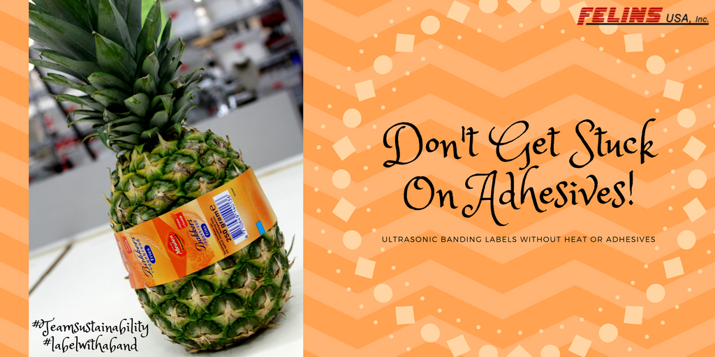 FelinsFoodie's tweet photo. Don't get stuck on #adhesives! #Labeling can be clean and beautiful without the need for heat or adhesives! #teamsustainability #pineapple #TuesdayThoughts #labelwithaband https://t.co/IyZV1sKMQ9