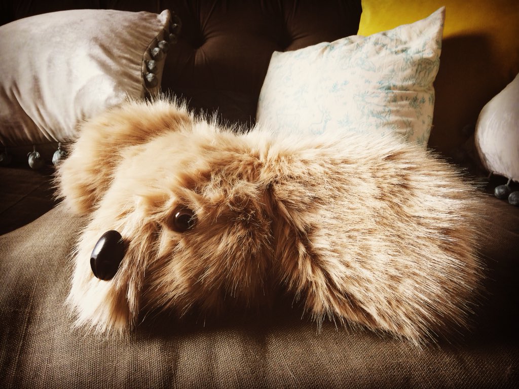 thetruzzsocial's tweet image. Big night apparently. My handmade #koalas made it on telly during the #GBBO ad break. #cushelle . If anyone needs any koalas 🐨, apparently I have a hidden talent #modelmaking #sfx