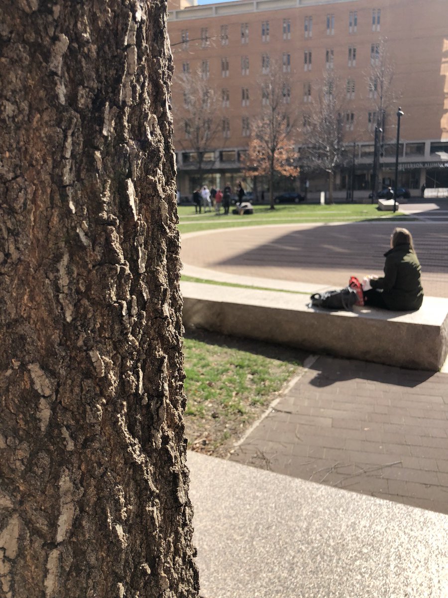 JeffersonUniv's tweet photo. The calm before the storm. Make sure to wear your winter boots tomorrow, snow is on the way! ❄️⛄️ #LifeAtJefferson #Noreaster https://t.co/fcDmKC6NBR