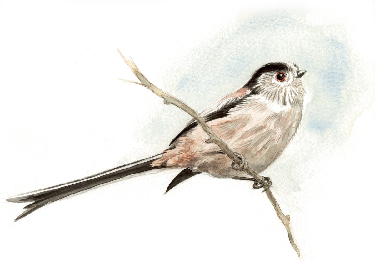 CWPendleton's tweet photo. Last day of my calendar artwork exhibition - all watercolours just £75 inc. UK postage. https://t.co/Yjjy42CipC https://t.co/FxinEdr21w