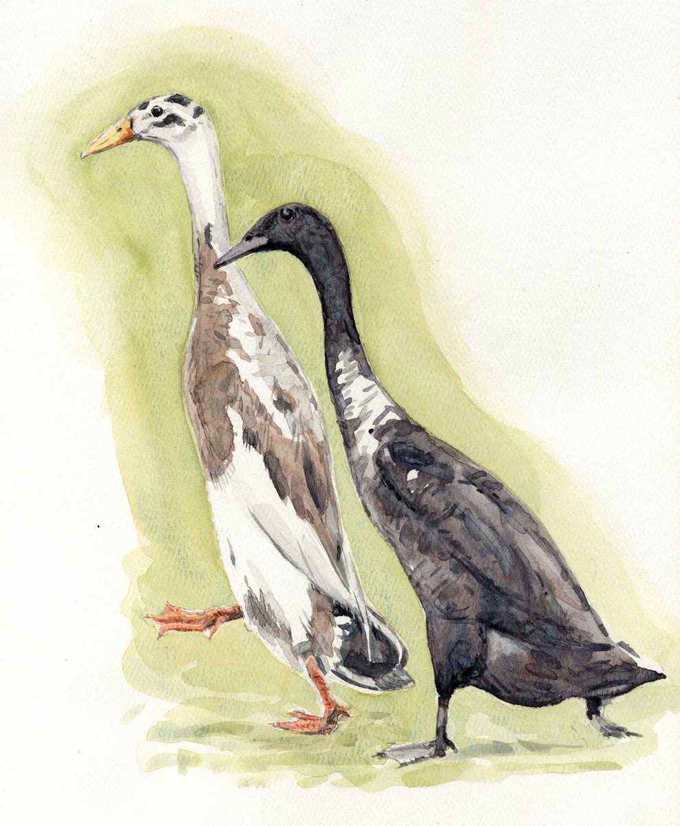 CWPendleton's tweet photo. Last day of my calendar artwork exhibition - all watercolours just £75 inc. UK postage. https://t.co/Yjjy42CipC https://t.co/FxinEdr21w