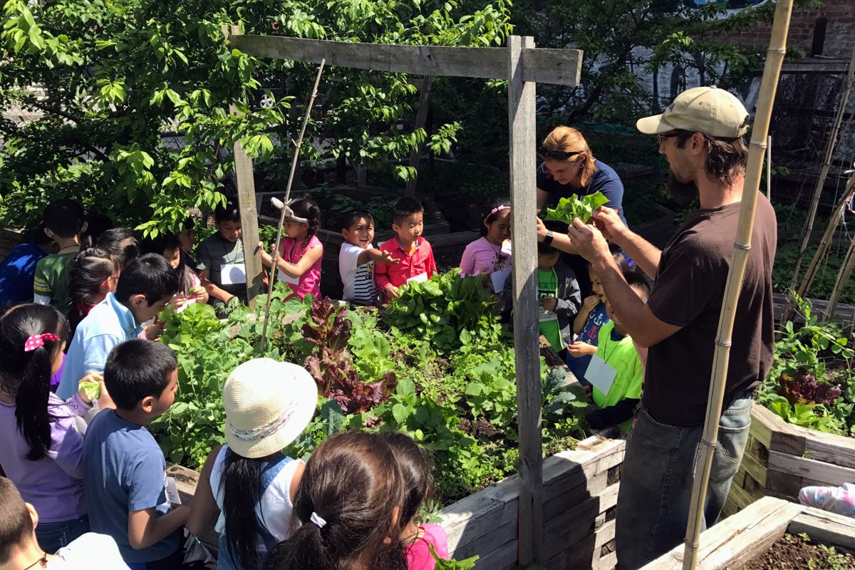 jessiejohnsonco's tweet photo. What Would Make Urban Agriculture in New York City More Equitable? https://t.co/syol1L5TED via @CivilEats https://t.co/SPlwwKzWFf