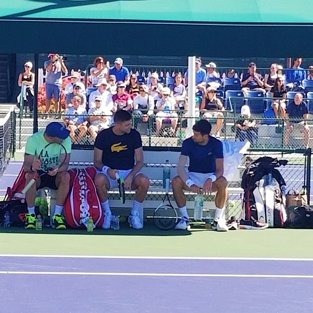 DXosZmuU8AA0o3d.jpg:large