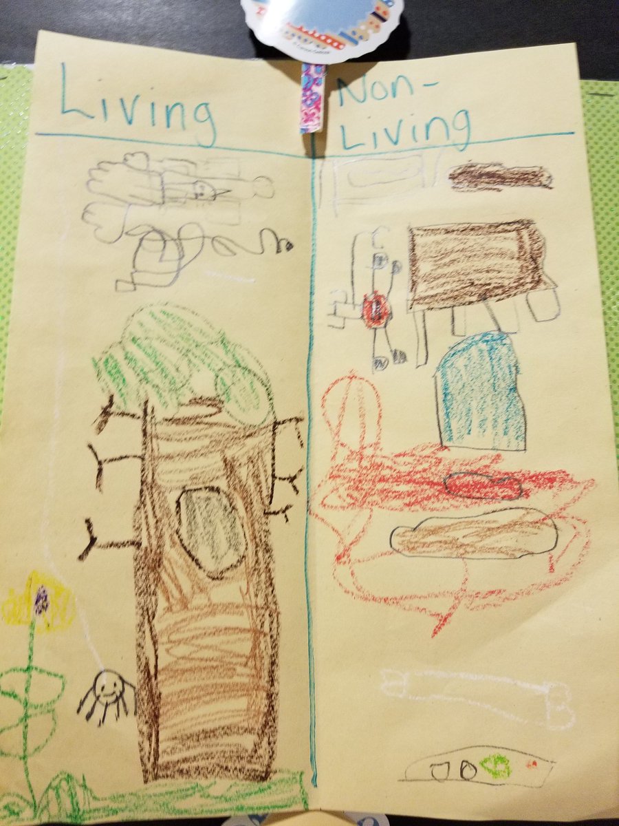 CHEAVID's tweet image. 2 column notes in Kinder!!! @CollegeHillsTC @CSISD_AVID #AVIDrocks