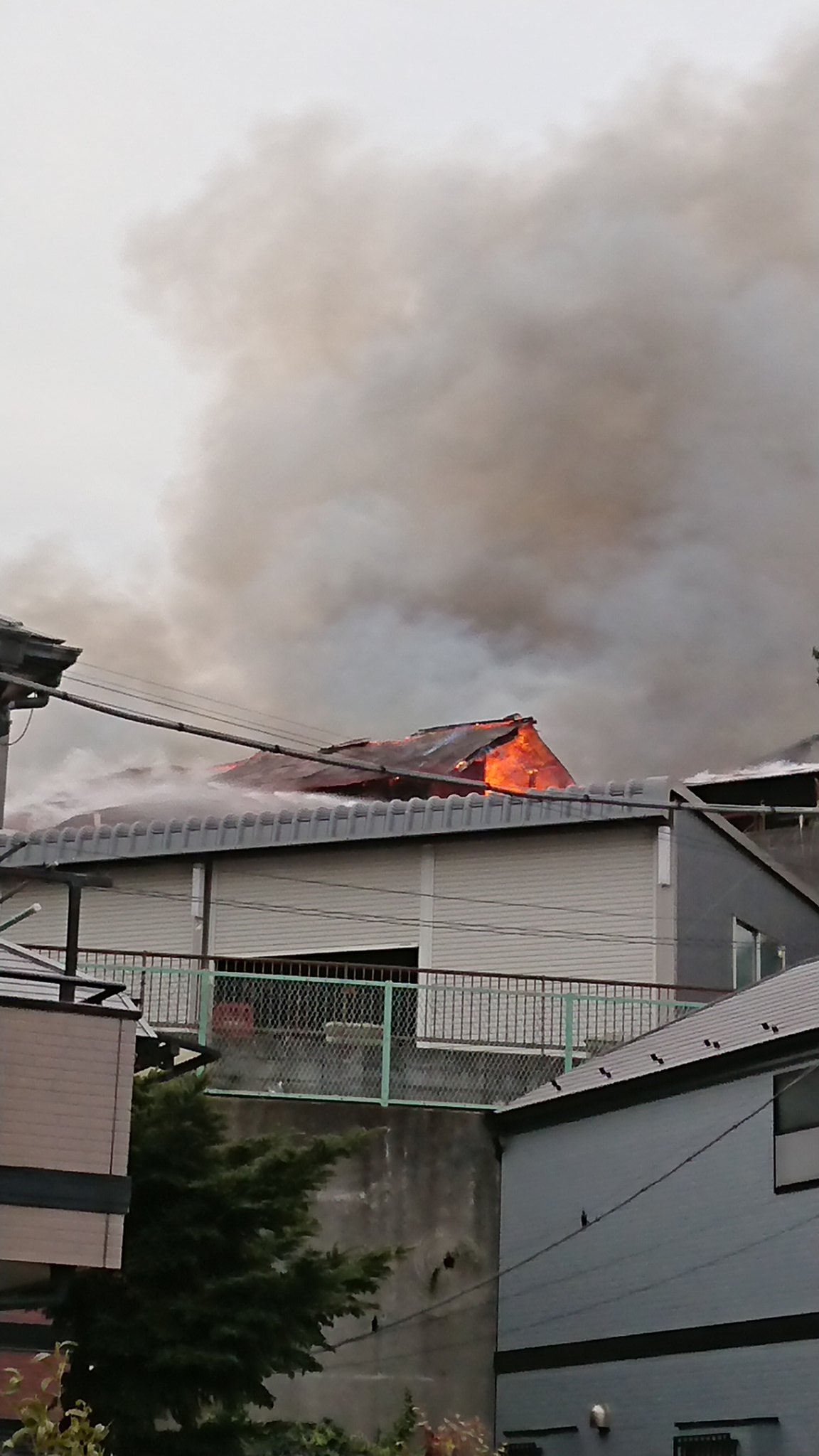 ユーカリ 下瀬谷一丁目で火災 火災 火事 下瀬谷