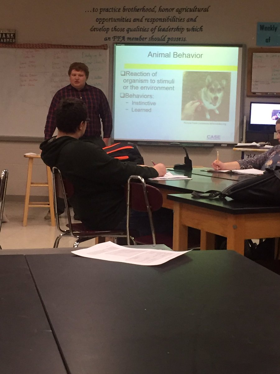 aged_isu's tweet photo. Will is teaching Intro to Agriculture students all about Animal Behavior. Keep up the good work!! #ISUAgEd #TeachAg #AnimalBehavior https://t.co/9vFc5kl4JA