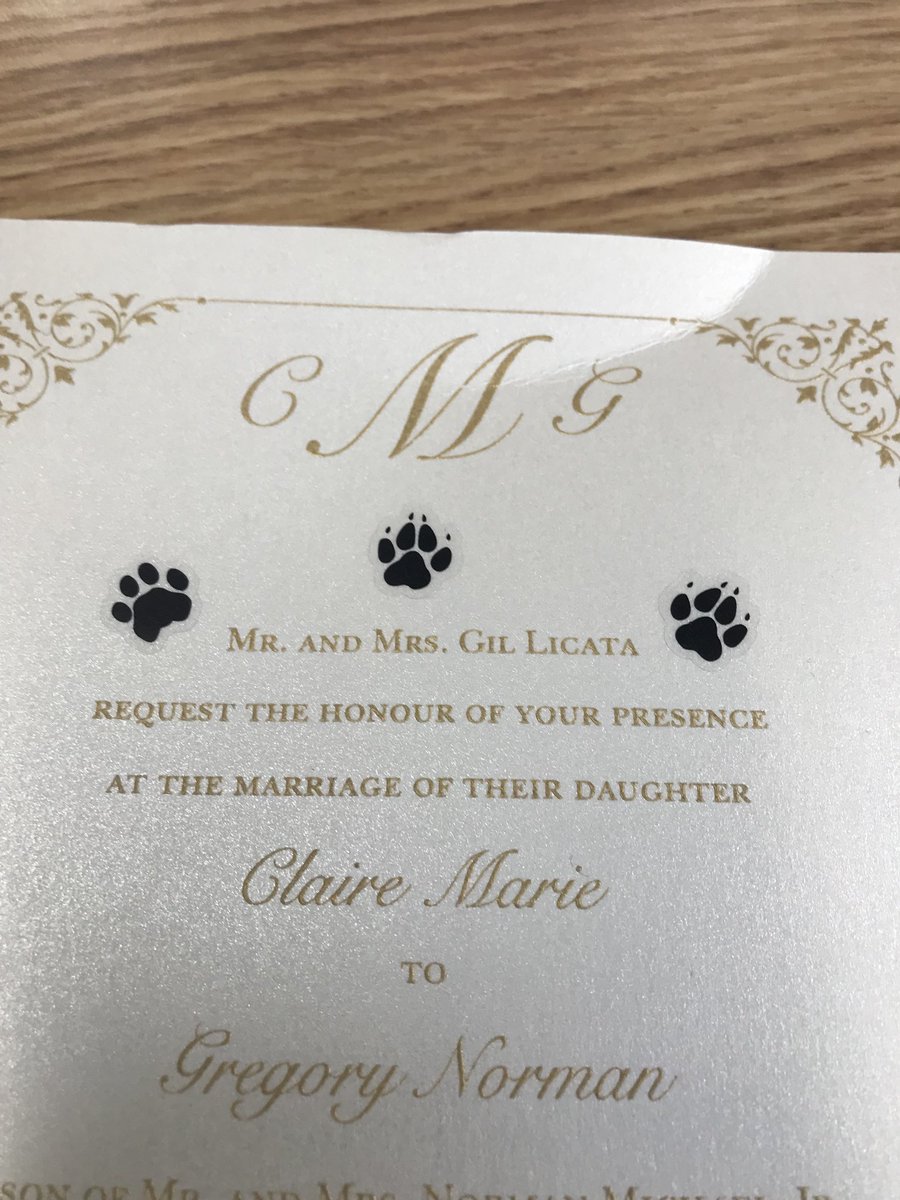 CoachtheDog2's tweet photo. It’s so awesome that @glicata16 helped with the invitations #ProudPapaBear #ColdNoses https://t.co/TXmCmXOOSz