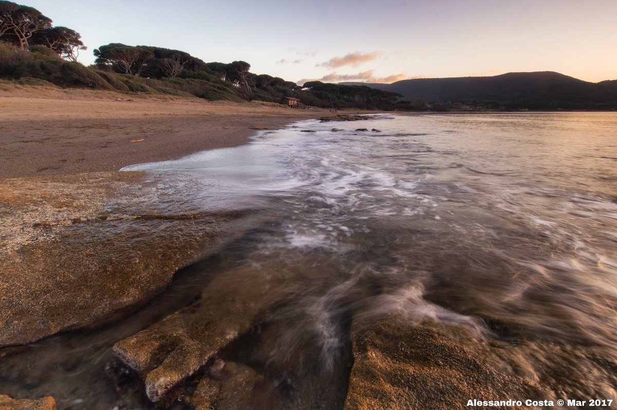 Profumo di scoglio e di resina di pino

BellezzeDellaToscana.it

#bellezzedellatoscana #Baratti #Piombino #Toscana #scogli #spiaggia #searocks #beach #amazing #cool #instacool #Tuscany #mare #golfodibaratti #pineta #wonder #peaceful #pinewood #sea #sunset #pineforest #seascape