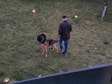 View image on Twitter