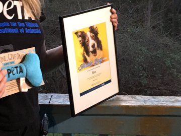 View image on Twitter