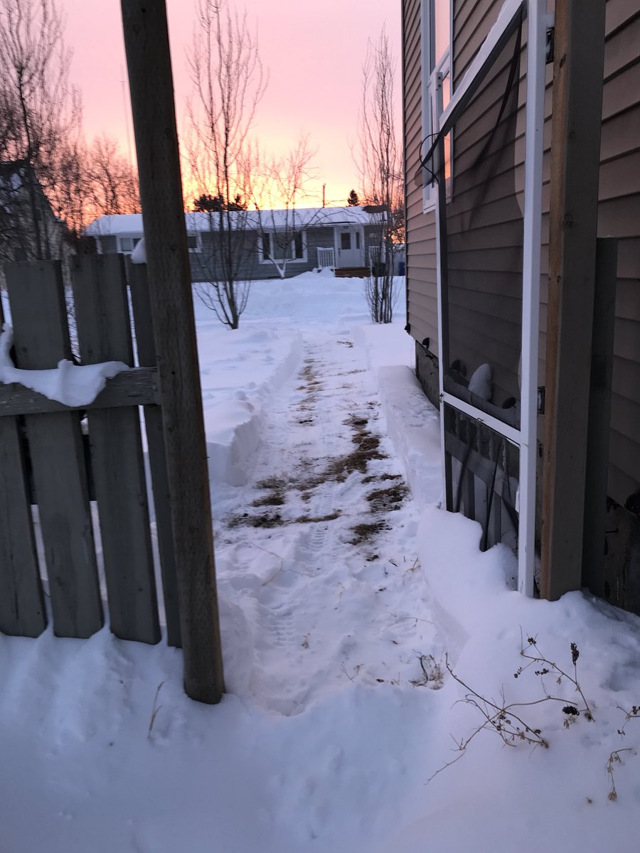Big thank you to whoever our #snowangel was in Southey, Sk while we were in the city! Things like this make me appreciate our small town even more #smalltown #skstorm #southey #Saskatchewan #neighbourshelpingneighbours #Sask