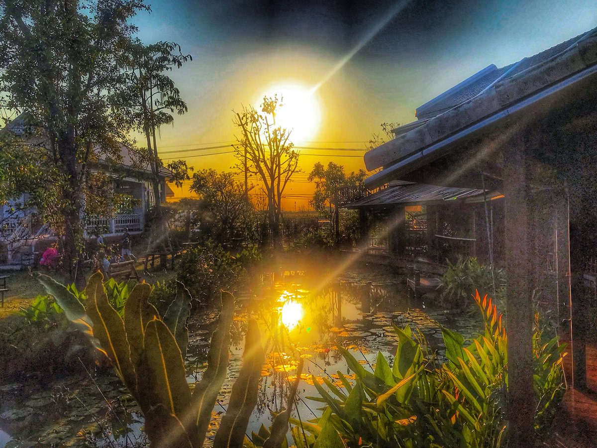 JourneyofKoy's tweet photo. It’s a beautiful reflection ☀️ #ชมเฌย #nonthaburi #thailand https://t.co/nL8QU6v0b1