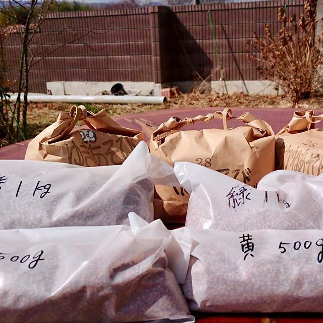 somatamboart's tweet photo. のこりの種籾がとどきました。 #田んぼアート #tamboart #種籾 #riceseed #福島 #fukushima #相馬 #soma https://t.co/RqXJ1OXAX7 https://t.co/m9RXZp1buZ