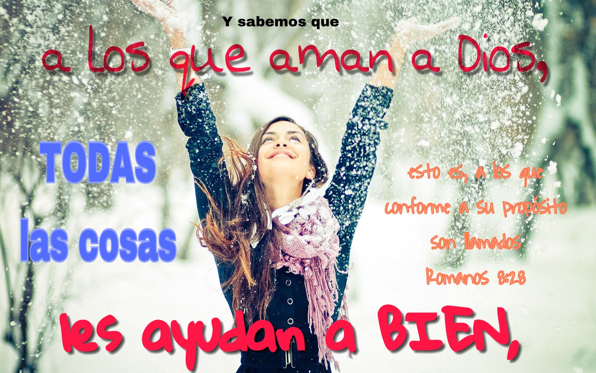 La Palabra de Dios on Twitter "Y sabemos que a los que aman a Dios