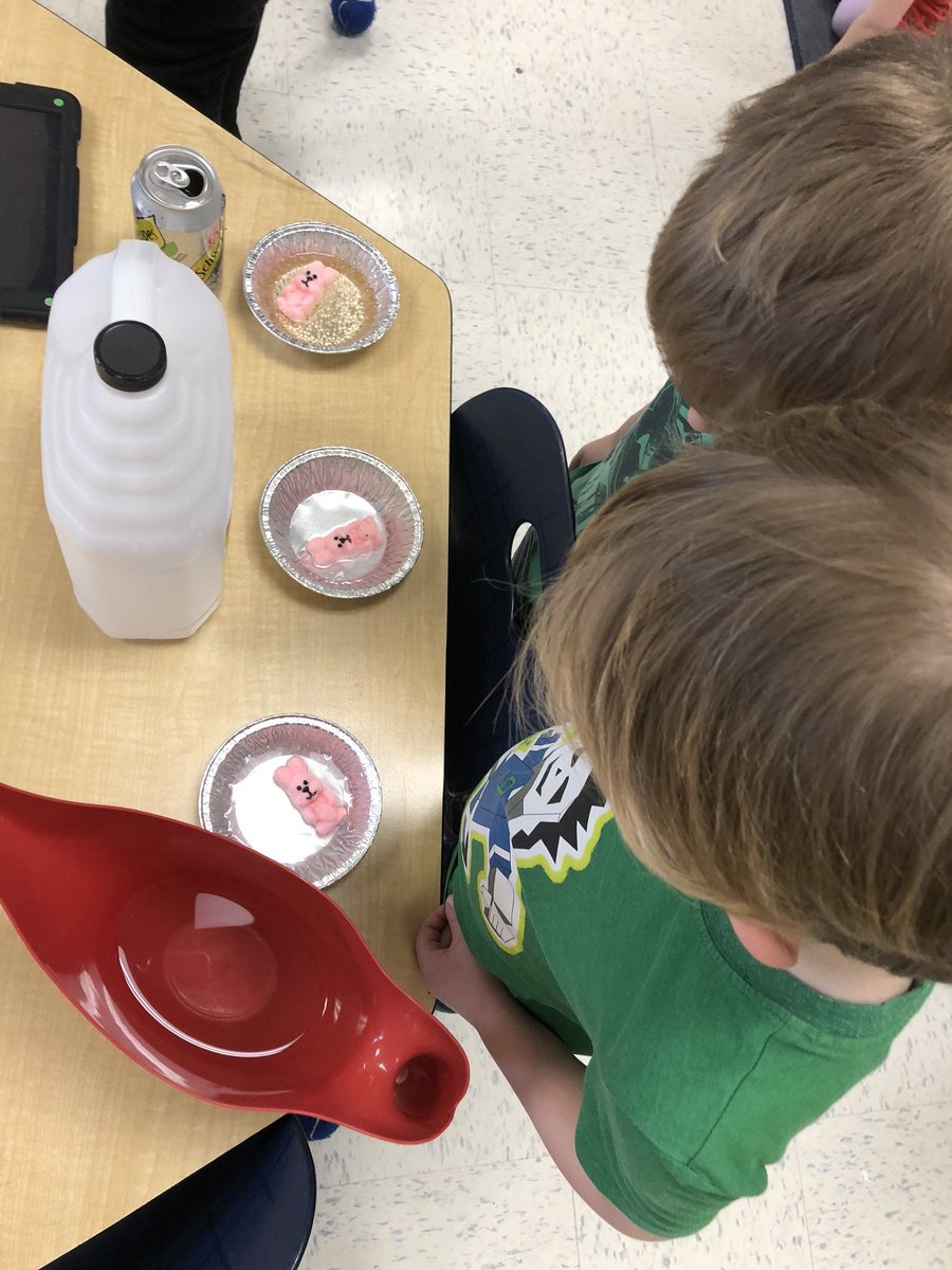 MissBond15's tweet photo. Science + Easter = FUN! Year 1 and 2 Ss @StJohnFisherCS learned about predictions and made their own about our marshmallow bunny experiment! What will happen to our bunnies in ginger ale, vinegar and water? #sccdsb #kinderfun #predictions https://t.co/QSatQvSrQY