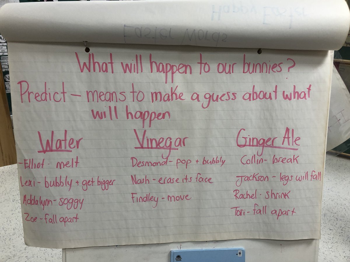 MissBond15's tweet photo. Science + Easter = FUN! Year 1 and 2 Ss @StJohnFisherCS learned about predictions and made their own about our marshmallow bunny experiment! What will happen to our bunnies in ginger ale, vinegar and water? #sccdsb #kinderfun #predictions https://t.co/QSatQvSrQY