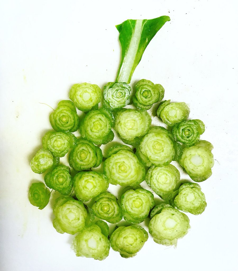 ミドミドの実 Twitter Search Twitter