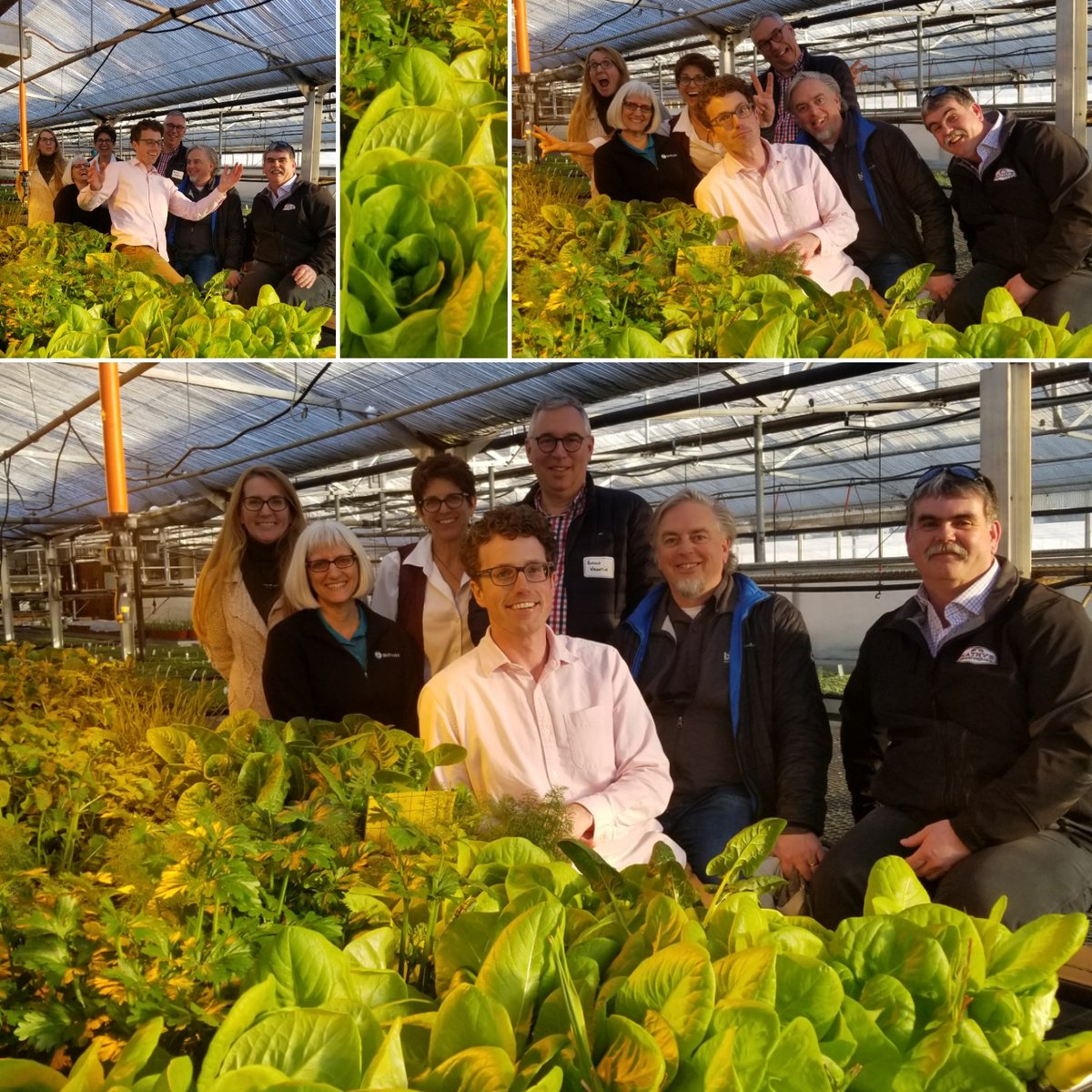 ThielsGH's tweet photo. These #buggeeks! All in @Bruderheim last wk @AlbertaAg #growerday๐ฑ๐๐ I want a do-over! SO much 2learn, not enuff hrs. Shoulda locked'm in! #IPM #growclean #bugbrains #wstcdnag @BugladySuzanne @P_K49 @Jason_at_Kathys @hortguy85 @RVBioControl @BioWorksInc https://t.co/mx7Mqdbm7K