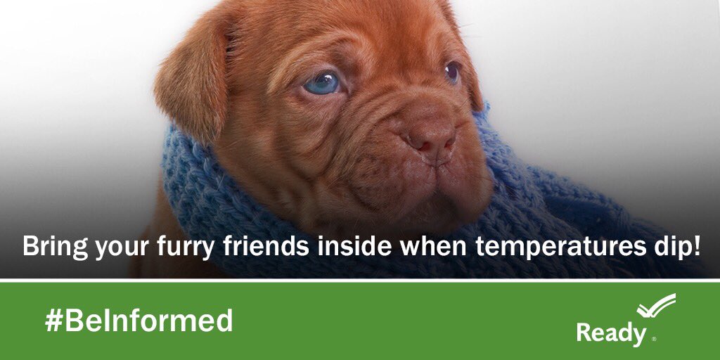 Bring pets inside and make sure that livestock are attended to during severe winter storms. If you see animals in need please call your local animal control or humane society.