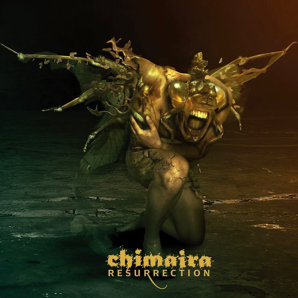 ThisDayInMETAL's tweet photo. Mar 6th 2007 @chimairaband released the album “Resurrection” #Six #PleasureInPain #Worthless #TheFlame #NoReasonToLive #GrooveMetal
Did you know...
Resurrection features drummer Andols Herrick who rejoined the group. https://t.co/gmybh64hTv