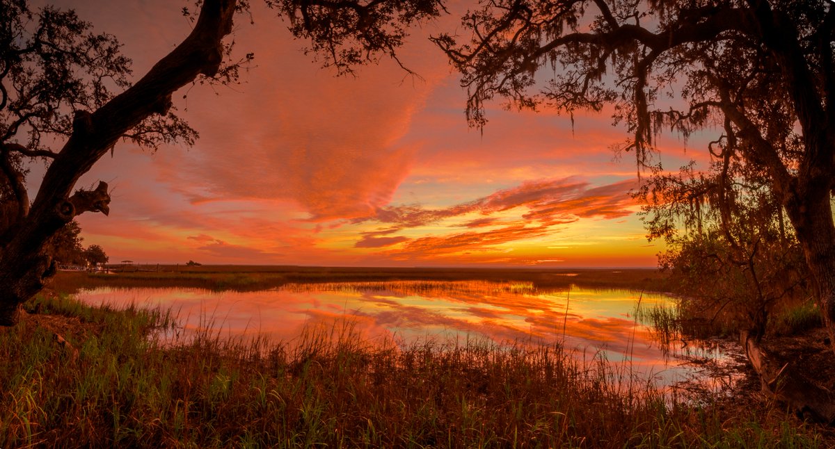 66perristreet's tweet image. 15 incredible solo vacations to take in the South (via @Southern_Living): southernliving.com/travel/solo-tr…

#travel #TTOT #TravelMore #wanderlust #explore #TravelWriter #travelwriting