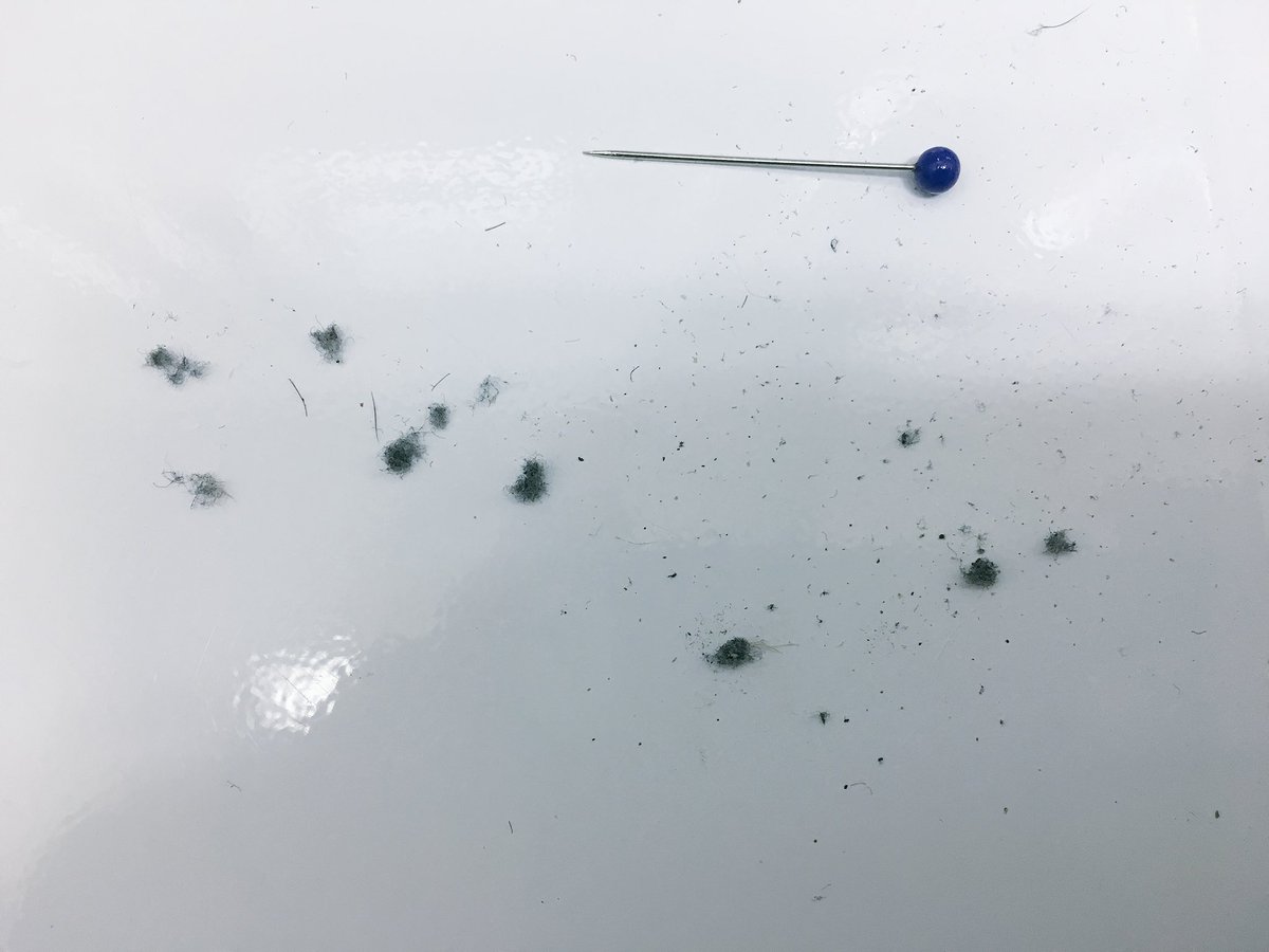 markkinsley's tweet photo. All this dust from the tiny port in my iPhone. https://t.co/MMvYYA2YBK