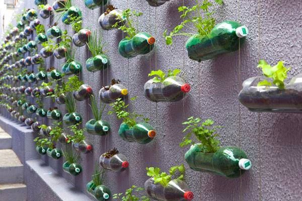 urbgardenersrep's tweet photo. Awesome way to have a garden even in the most urban of areas but we wonder how long it takes to water all of them. https://t.co/byA6Gkg9NH