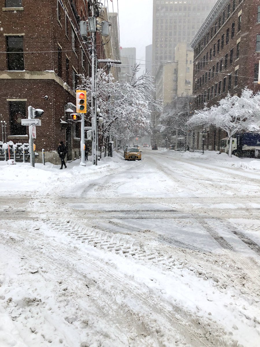 StanKurtas's tweet photo. @jim0041 Here you go Jim, this is what it looks like 24 hours after 12 inches of snowfall https://t.co/M4bKA3AGgk