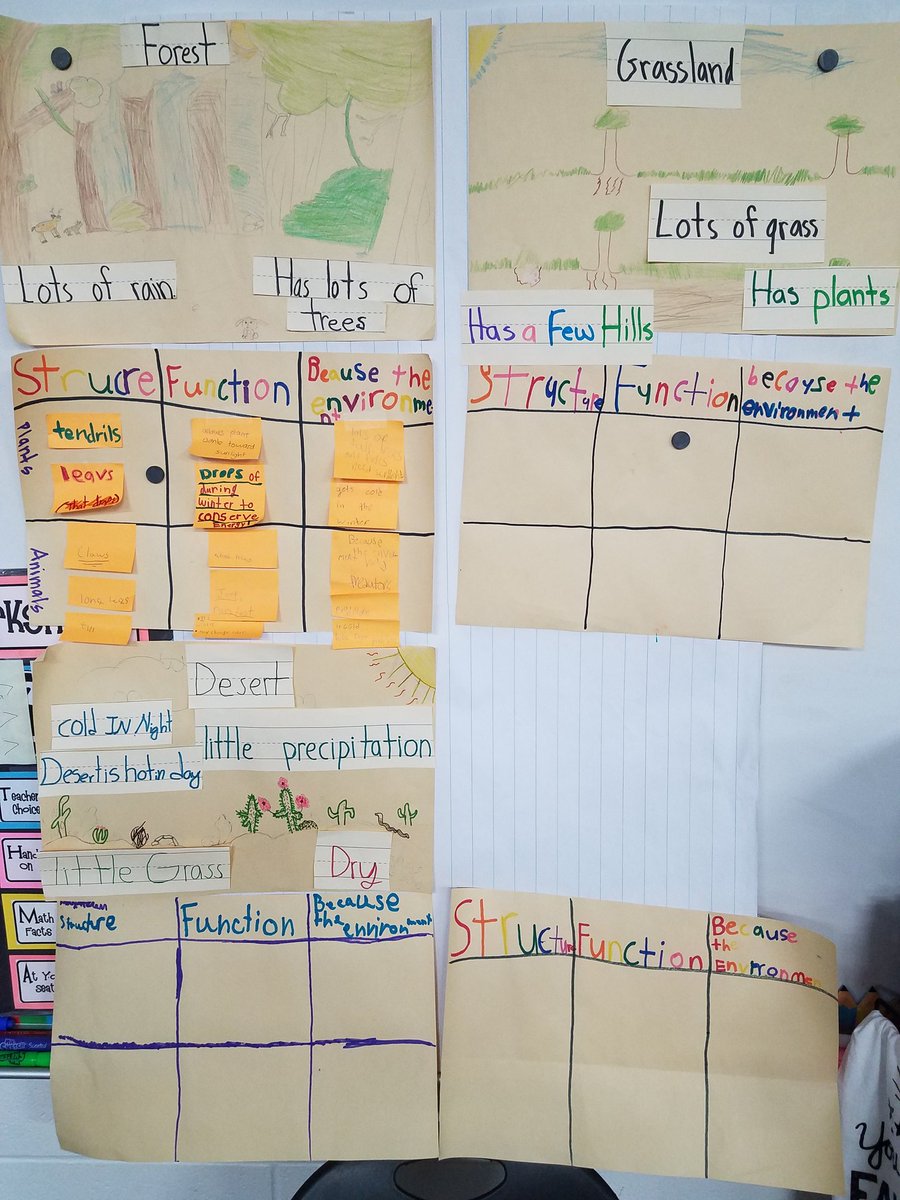 MMichelle425's tweet image. @HolmsleyCFISD students use an interactive word wall to explain the various structures (and their functions) of plants and animals that allow them to survive. #thirdgrade #thirdgradescience #cfisdscience #survivingtheforest #interactivewordwall #workinprogress @CFISDScience