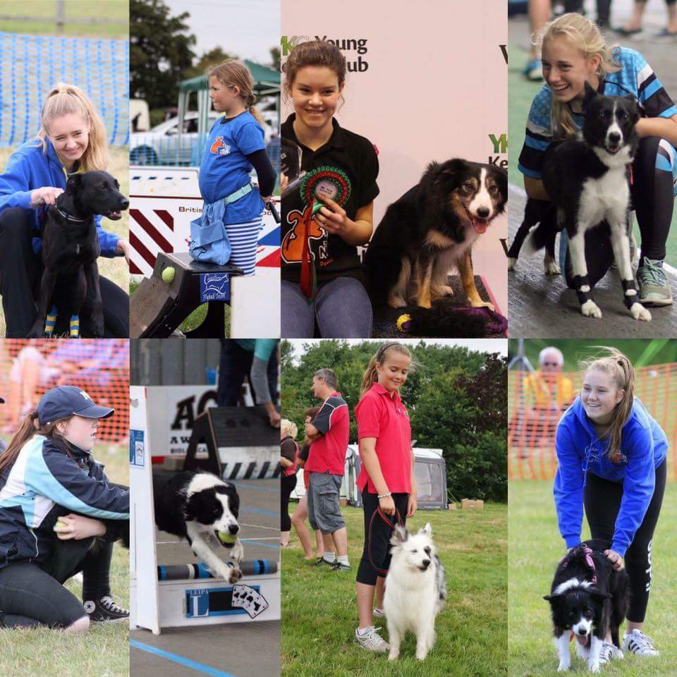 SVosper1's tweet photo. The girls are back in the ring this Saturday. So proud of them all @Crufts #crufts #ykcflyball #cantbeatdayslikethis #bringiton https://t.co/Jgssyk9zF6