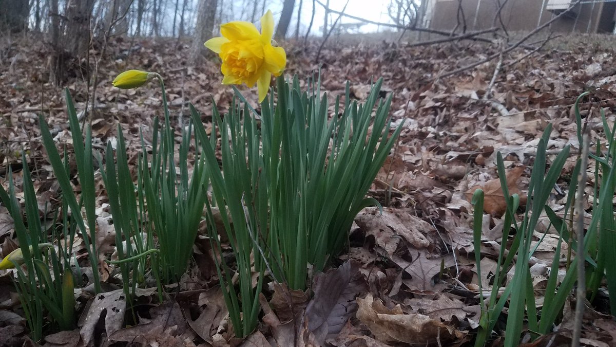 Had a blast hiking this evening with <a href="/ougeoclub/">OU Geography Club</a>! We hiked up the top of the hill past the Ridges on campus and got to see not only a beautiful sunset, but also some signs of spring!! #geography #ohiougeog #ohiouwx #hiking #nature