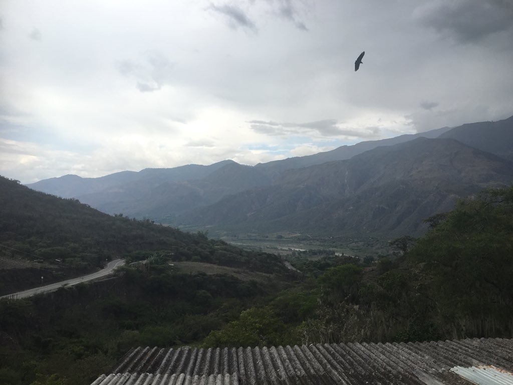 PepijnKooij's tweet photo. Views on the way back from Chiscas to Tunja. #KewColombiaBio #BoyacáFungi @KewScience @BoyacaBIO @curataceae @juansesur @Osanruri @Ekhdwns https://t.co/QgzZVhnLIO
